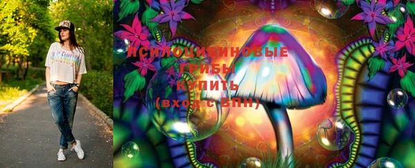 эйфоретик Алзамай