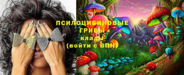 сатива Алексин